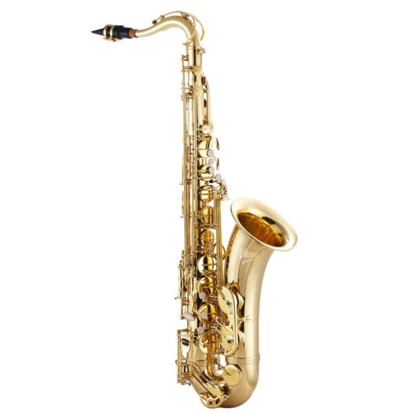 V-TONE TS 100 saksofon tenorowy z futerałem - obrazek 7