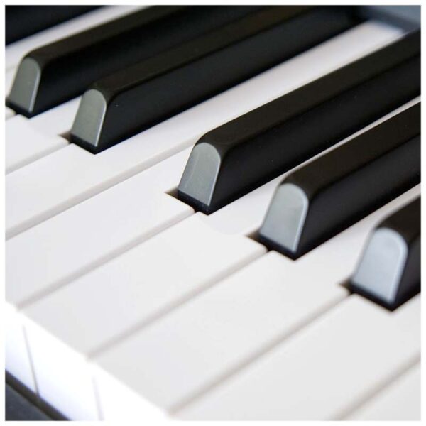 V-TONE BL-8808 BK pianino cyfrowe do nauki USB MID - obrazek 6