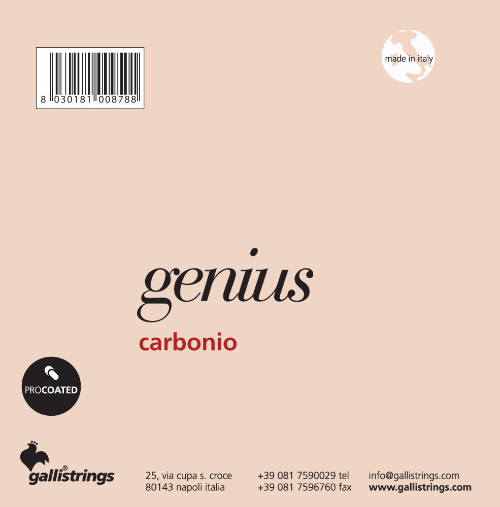 Galli GR95 Normal Tns - struny do gitary klasycznej - obrazek 2