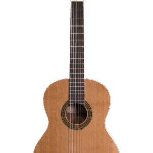 Prodipe Guitars Recital 200 4/4 - gitara klasyczna