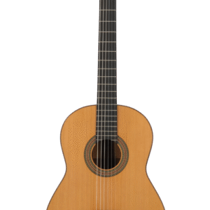 Prodipe Guitars Soloist 900 4/4 - gitara klasyczna