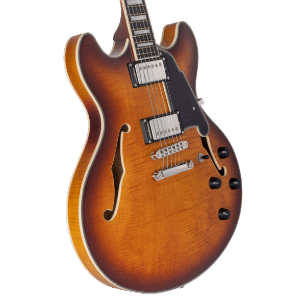 D'Angelico Premier DC Dark Iced Tea Burst - gitara elektryczna - obrazek 3