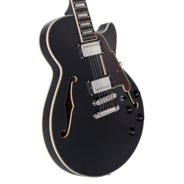 D'Angelico Premier SS Black Flake - gitara elektryczna - obrazek 4