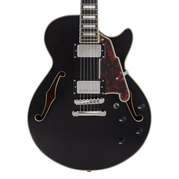 D'Angelico Premier SS Black Flake - gitara elektryczna - obrazek 5