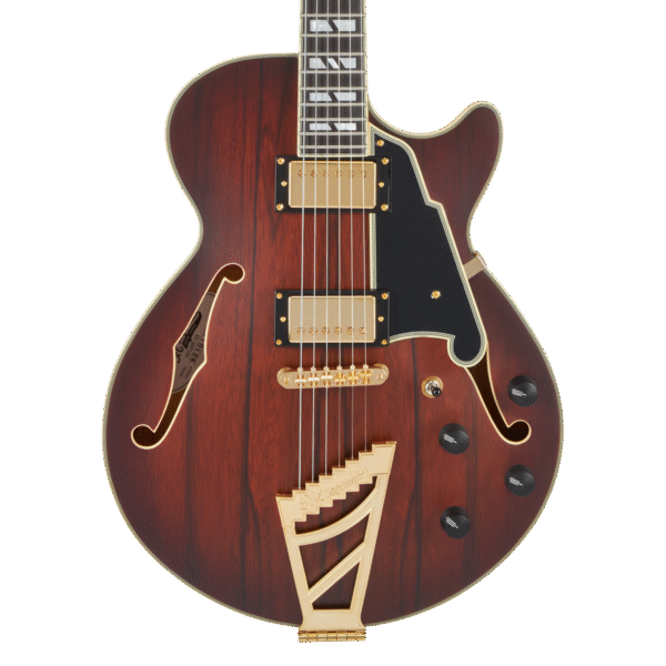 D’Angelico Deluxe SS Brown Burst - gitara elektryczna - obrazek 3