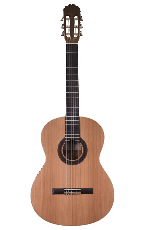 Prodipe Guitars Student LH 4/4 - gitara klasyczna leworęczna