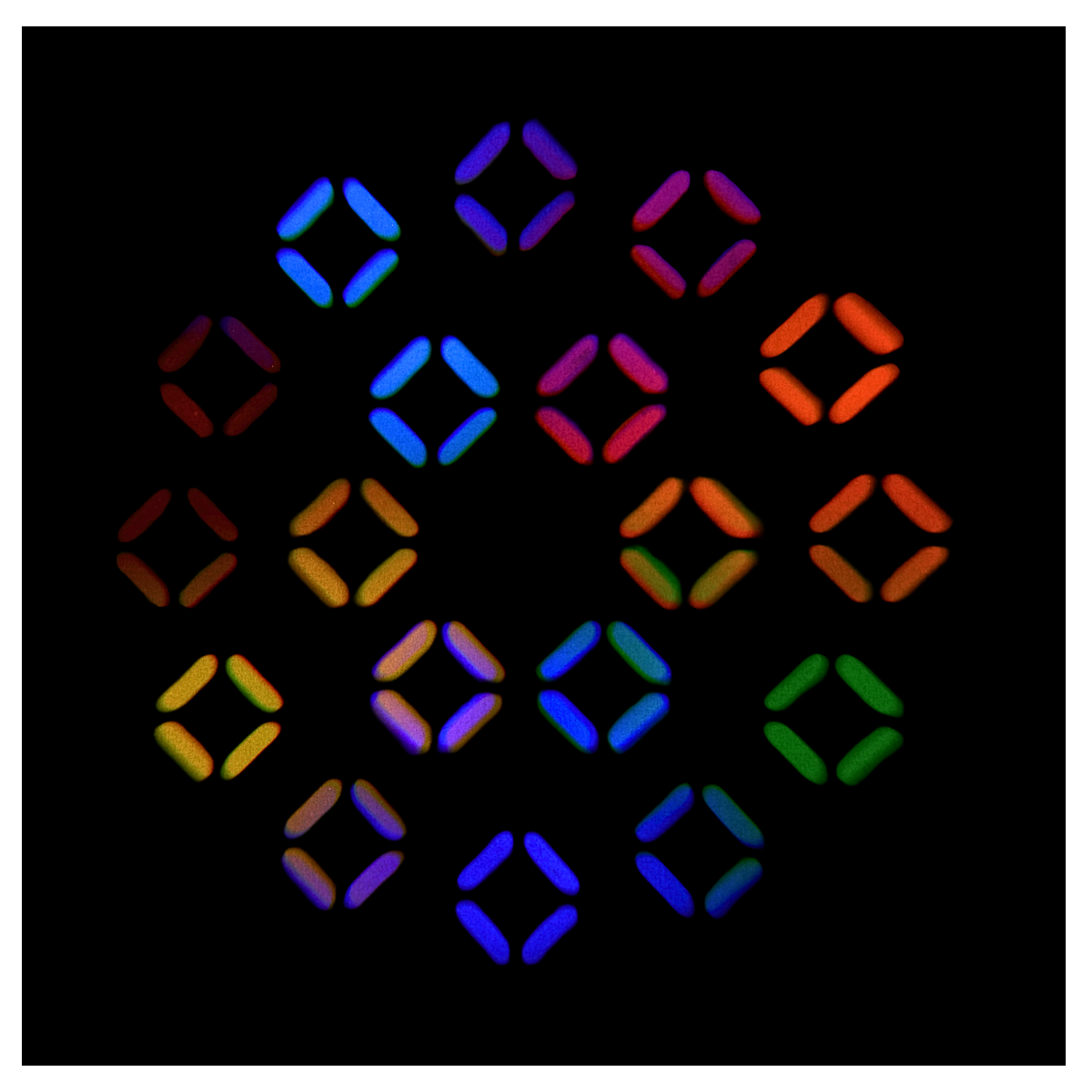 LIGHT4ME ORBEAM 150W LED głowica ruchoma beam - obrazek 11