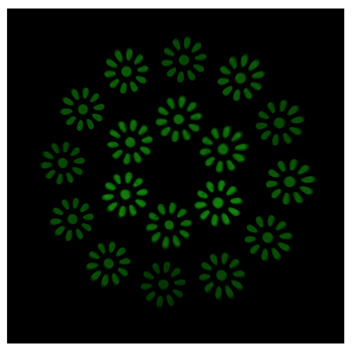 LIGHT4ME ORBEAM 150W LED głowica ruchoma beam - obrazek 10