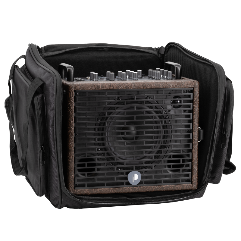 Prodipe Traveler 6 - combo akustyczne 120W - obrazek 8
