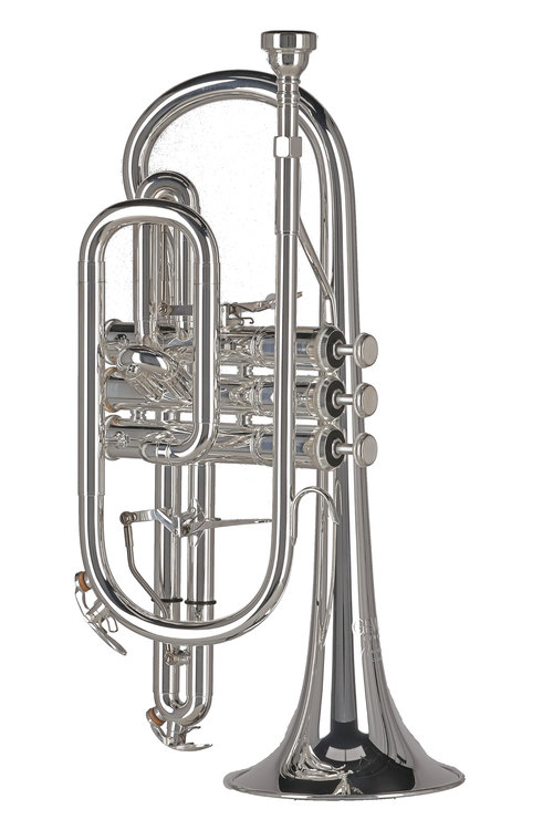 Kornet w stroju Bb CR651 Ambition - obrazek 5