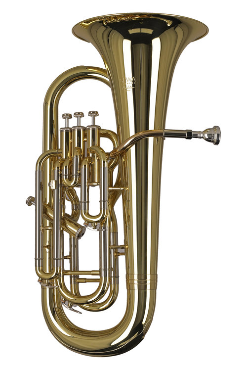 Eufonia w stroju Bb EP655 Ambition - obrazek 2
