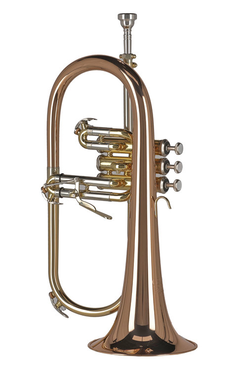 Flugelhorn w stroju Bb FH501 Ambition - obrazek 3