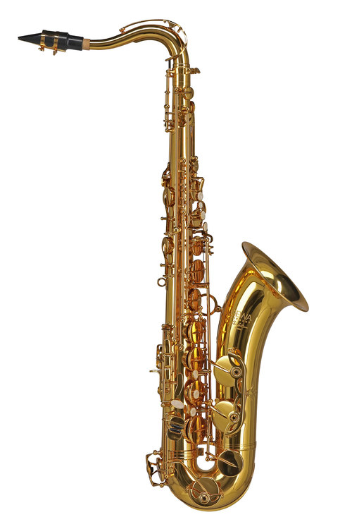 Bb-Tenor Saxophon TS650 Ambition