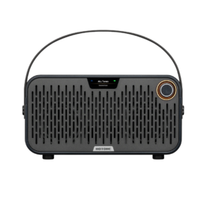 Hotone Pulze Jr. AP-20BK Eclipse Black - wzmacniacz modelujący 20 W